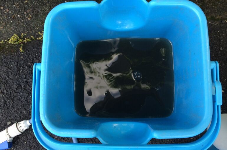 IMG_1373-1024x768